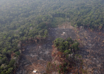 Una vista aérea de un sector deforestada del Amazonas cerca de Humaita, estado de Amazonas, en Brasil. REUTERS/Ueslei Marcelino. 22 de agosto de 2019.