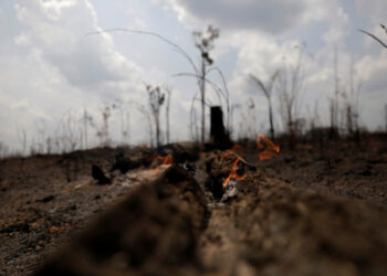 A burning tract of Amazon jungle is pictured in Porto Velho, Brazil August 25, 2019. REUTERS/Ricardo Moraes