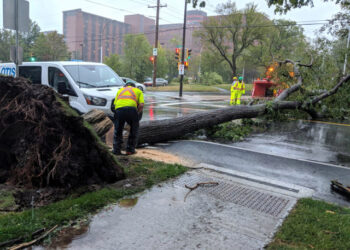 A tree lies on the road after Hurricane Dorian slammed into Canada's Atlantic coast on Saturday in Halifax, Canada, September 7, 2019 in this picture obtained from social media by Reuters on September 8, 2019. Katelyn Zwicker /via REUTERS THIS IMAGE HAS BEEN SUPPLIED BY A THIRD PARTY. MANDATORY CREDIT.