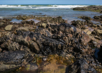 View of oil spilled on the rocks at the Pedra do Sal beach, Salvador, Bahia state, Brazil, on October 19, 2019. - A huge oil spill off Brazil's northeastern coast which stained more than 130 beaches may have involved a "ghost ship" carrying Venezuelan oil in breach of US sanctions, an expert close to the probe into the disaster said. (Photo by ANTONELLO VENERI / AFP)