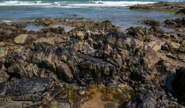 View of oil spilled on the rocks at the Pedra do Sal beach, Salvador, Bahia state, Brazil, on October 19, 2019. - A huge oil spill off Brazil's northeastern coast which stained more than 130 beaches may have involved a "ghost ship" carrying Venezuelan oil in breach of US sanctions, an expert close to the probe into the disaster said. (Photo by ANTONELLO VENERI / AFP)