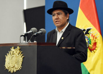 Bolivia's Foreign Minister Diego Pary speaks during a news conference at the presidential palace in La Paz, Bolivia, October 30, 2019. Courtesy of Bolivian Presidency/Handout via REUTERS. ATTENTION EDITORS - THIS IMAGE WAS PROVIDED BY A THIRD PARTY.