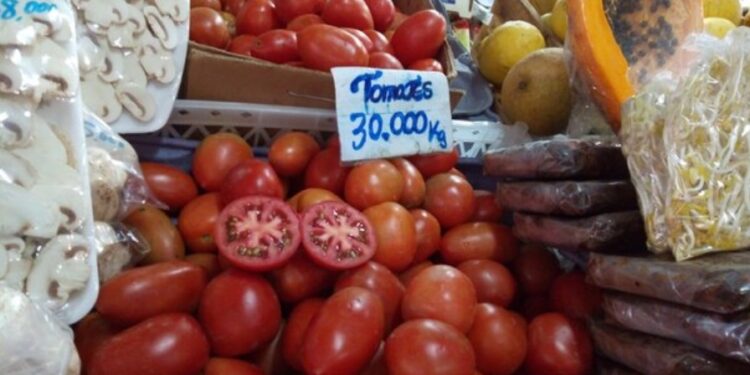 El kilo de tomates cuesta USD 1,5. Un salario mínimo alcanza para 10 kilos.