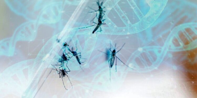 ADN Dengue. Foto referencial.