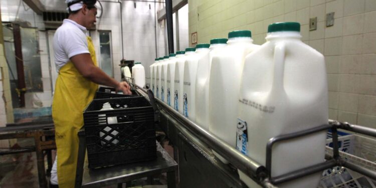 Producción de leche. Foto de archivo.