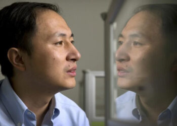 En esta foto del 10 de octubre de 2018, He Jiankui se refleja en un panel de vidrio mientras trabaja en una computadora en un laboratorio en Shenzhen, en la provincia sureña china de Guangdong. (Foto AP / Mark Schiefelbein/archivo)