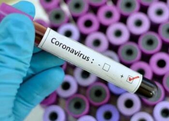 Cornavirus. Foto de archivo.