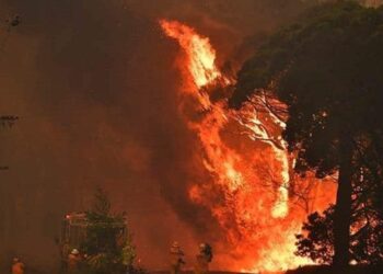 Incendios Australia. Foto agencias.