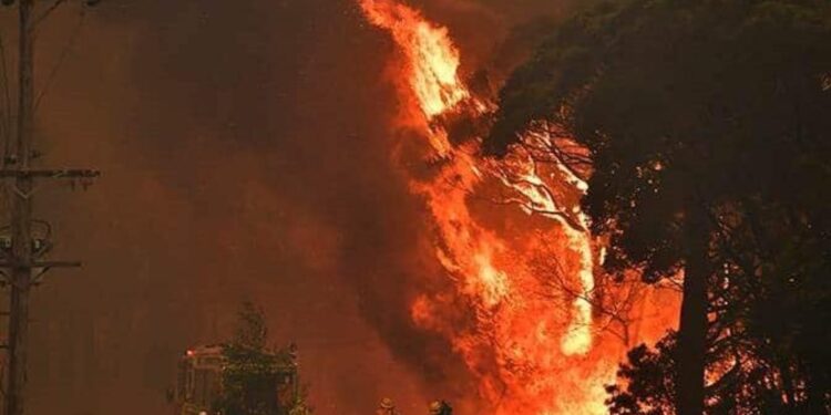 Incendios Australia. Foto agencias.