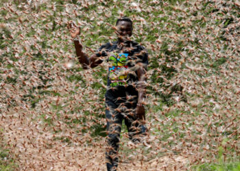 Enziu (Kenya), 24/01/2020.- A man runs through a desert locust swarm in the bush near Enziu, Kitui County, some 200km east of the capital Nairobi, Kenya, 24 January 2020. Large swarms of desert locusts have been invading Kenya for weeks, after having infested some 70 thousand hectares of land in Somalia which the United Nations Food and Agriculture Organisation (FAO) has termed the 'worst situation in 25 years' in the Horn of Africa. FAO cautioned that it poses an 'unprecedented threat' to food security and livelihoods in the region. (Kenia, Estados Unidos) EFE/EPA/DAI KUROKAWA
