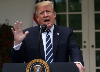 U.S. President Donald Trump speaks about the investigations by Special Counsel Robert Mueller and the U.S. Congress into himself and his administration in the Rose Garden at the White House in Washington, U.S., May 22, 2019. REUTERS/Leah Millis