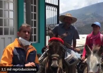 Mérida. caballos, escasez de gasolina. Foto captura de video.