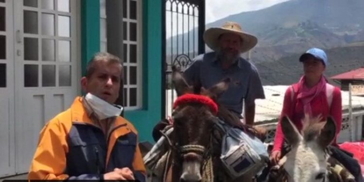 Mérida. caballos, escasez de gasolina. Foto captura de video.