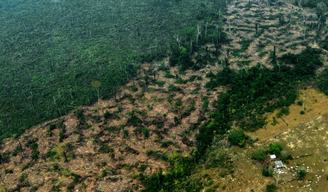 Aerial view of burnt areas of the Amazon rainforest, near Boca do Acre, Amazonas state, Brazil, in the Amazon basin, on August 24, 2019. - President Jair Bolsonaro authorized Friday the deployment of Brazil's armed forces to help combat fires raging in the Amazon rainforest, as a growing global outcry over the blazes sparks protests and threatens a huge trade deal. (Photo by Lula SAMPAIO / AFP)