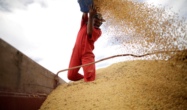 FOTO DE ARCHIVO: Un trabajador inspecciona la soja durante la cosecha cerca de la ciudad de Campos Lindos, Brasil 18 de febrero de 2018. Foto tomada el 18 de febrero de 2018.  REUTERS/Ueslei Marcelino/Archivo Foto