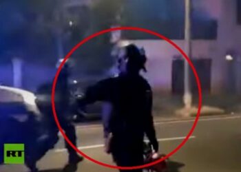 Policía ataque peridista Francia. Foto captura de video RT.