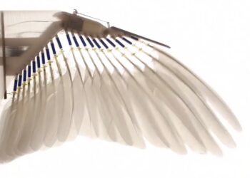 Robot plumas de paloma. Foto captura de video.
