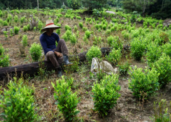 A Venezuelan migrant working as a "Raspachin" (farmer collector of coca leaves), puts his boots on at a coca plantation in the Catatumbo region, Norte de Santander Department, in Colombia, on February 9, 2019. - Many Venezuelan who fled their country stopped being workers, taxi drivers, fishermen or sellers to collect the leaf that is used to make cocaine, an illegal activity that they had barely heard about and that tears them physically and morally. (Photo by Luis ROBAYO / AFP)