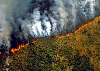 Incendios Amazonas. Foto de archivo.