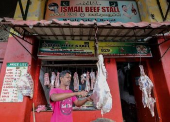 El Gobierno de Sri Lanka prohíbe el sacrificio de ganado vacuno. Foto Agencias.