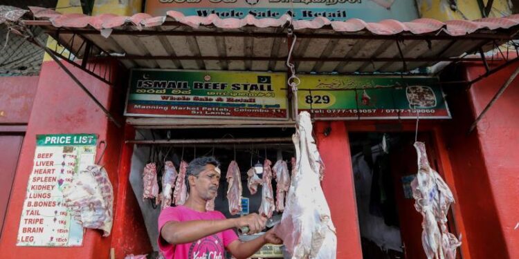 El Gobierno de Sri Lanka prohíbe el sacrificio de ganado vacuno. Foto Agencias.