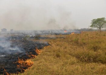 Incendios en el Pantanal. Brasil. Foto agenccias.