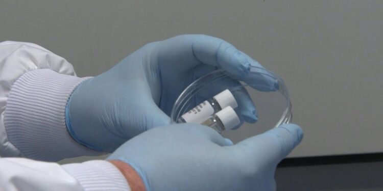 Investigadores británicos infectarán a voluntarios para avanzar en búsqueda de vacuna. Foto captura de video AFP.