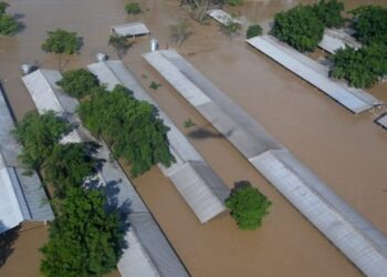 Centroamérica hace balance de daños tras destructor paso de ciclón Iota. Foto captura de video AFP.