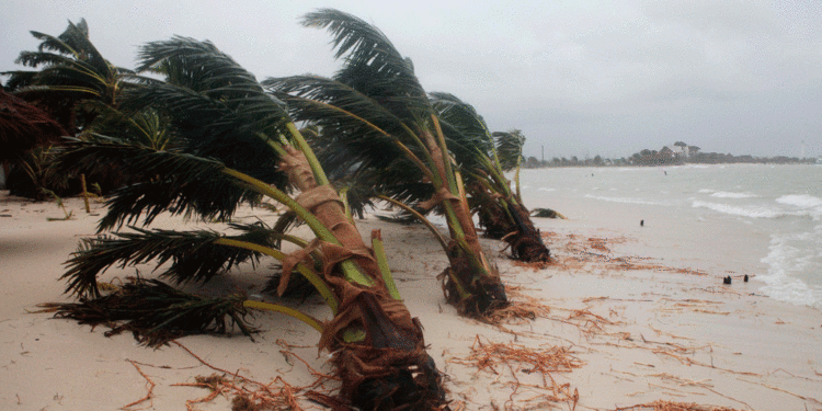 La tormenta tropical Eta. Foto DW.