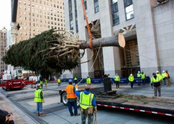 Llega a Nuva York el tradicional árbol navideño del Rockefeller Center. Foto El Comercio Perú.