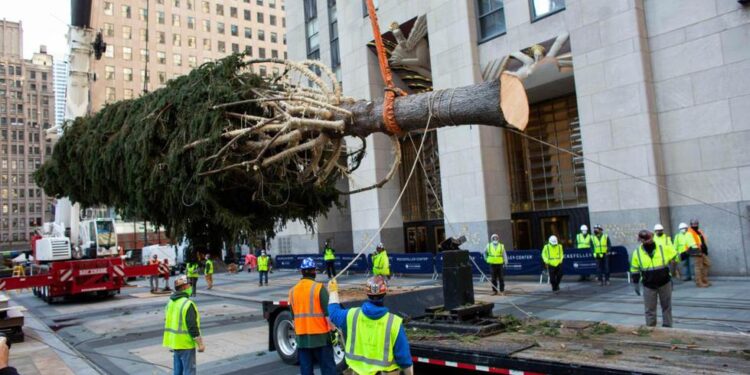 Llega a Nuva York el tradicional árbol navideño del Rockefeller Center. Foto El Comercio Perú.