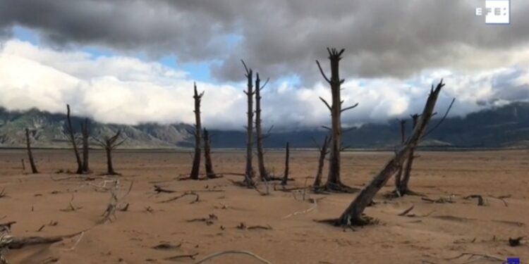 Crisis climática. Foto captura de video EFE.