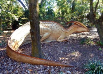 Fotografía cedida por Harry P. Leu Gardens que muestra una reconstrucción de un dinosaurio Parasaurolophus, instalada en un jardín botánico de Orlando, Florida (EEUU). Un exuberante jardín tropical de Orlando, el Harry P. Leu Gardens, en el centro de Florida (EE.UU.), presentará a partir del próximo 18 de enero una "invasión de dinosaurios" a escala real entre la espesura de su follaje, con ejemplares como el Daspletosaurus, de 33 pies de altura (10 metros). EFE/ Harry P. Leu Gardens