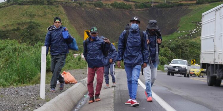 Grupos de migrantes venezolanos caminan por una carretera ayer, en la región de Tulcán (Ecuador). El cierre de fronteras por la covid-19 en los países andinos no impide que miles de venezolanos sigan cruzando por trochas de un país en otro movidos por el "virus del hambre", todo un desafío para los Gobiernos que tratan de impedir la propagación del coronavirus. EFE/ Xavier Montalvo