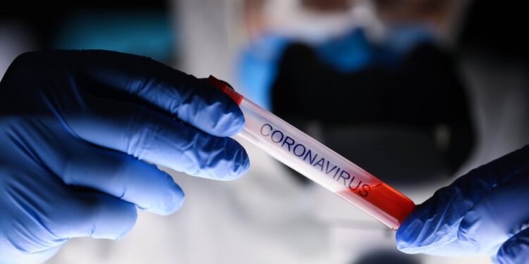 Coronavirus. mutaciones. Foto agencias.