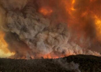 Incendio forestal Australia. Foto de archivo.