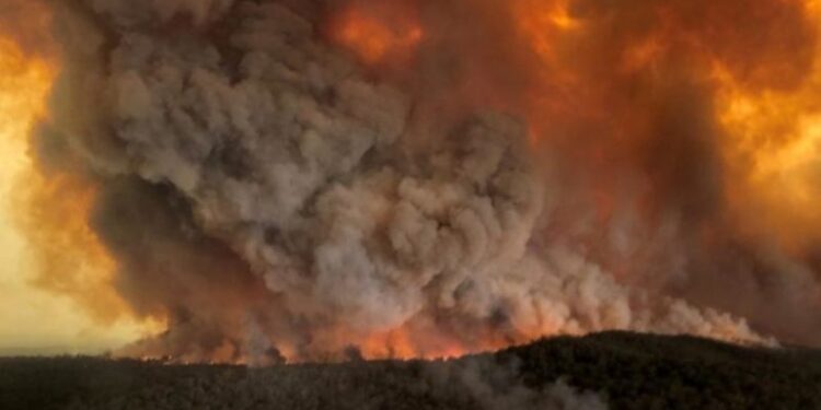 Incendio forestal Australia. Foto de archivo.