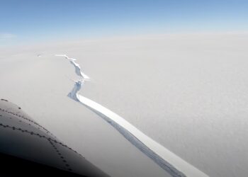 Brunt en la Antártida. Foto agencias.