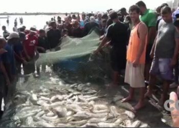 Pescadores de Oriente. Foto captura de video.