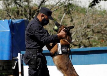 La Unidad Canina de la Policía Nacional Civil (PNC). Foto Agencias.