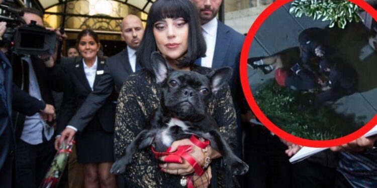 Lady Gaga, mascotas. Foto de archivo.