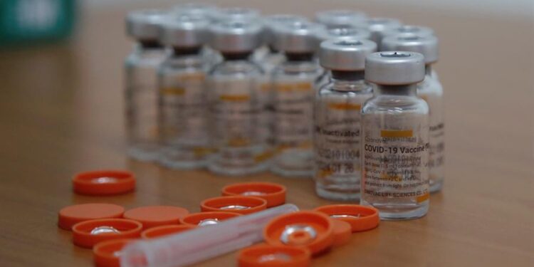 Fotografía de vacunas Sinovac contra la covid-19. EFE/ Ricardo Maldonado/Archivo