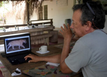 Colombian farmer Jorge Barragan shows a jaguar tht appeared in a trap's camera on his computer at La Aurora natural reserve, Hato Corozal municipality, Casanare department, Colombia on April 9, 2021. - La Aurora is a natural reserve where cattle ranchers lead conservation efforts to protect the jaguar population in southeastern Colombia. (Photo by Raul ARBOLEDA / AFP)