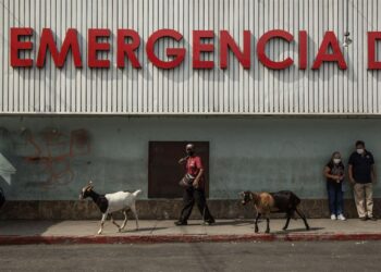 Un hombre camina junto a sus cabras frente al Hospital San Juan de Dios, donde se atiende a pacientes de coronavirus en Ciudad de Guatemala. EFE/Esteban Biba/Archivo