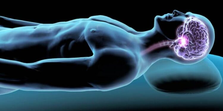 El cerebro se limpia de toxinas durante el sueño. Foto referencial.