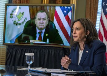 Vice President Kamala Harris meets virtually with Guatemala’s President Alejandro Giammattei, seen on screen at left, Monday, April 26, 2021, from her ceremonial office at the Eisenhower Executive Office Building on the White House complex in Washington. (AP Photo/Jacquelyn Martin)