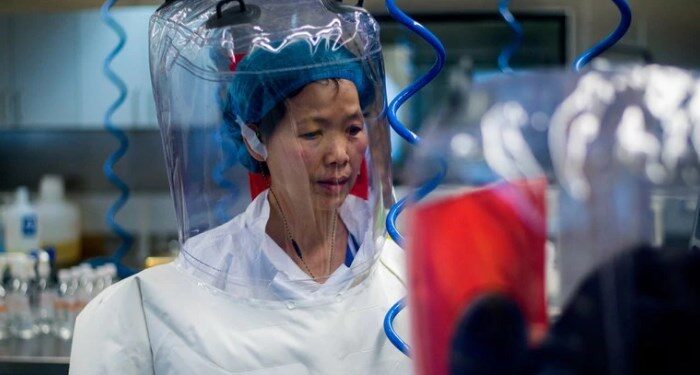 La Dr. Shi era un símbolo del progreso científico de China, a la vanguardia de la investigación sobre virus emergentes. (Foto: AFP)