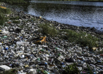 View of garbage on the banks of the polluted Maracaibo Lake, in Maracaibo, Zulia state, Venezuela, on June 13, 2019. - The city of Maracaibo is the center of the country's oil industry, and its lake is an eternal oil spill. (Photo by YURI CORTEZ / AFP)