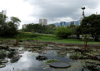 A half-empty lagoon built in the shape of Venezuela is seen at the botanical garden in Caracas, Venezuela July 9, 2018. Picture taken July 9, 2018. REUTERS/Marco Bello