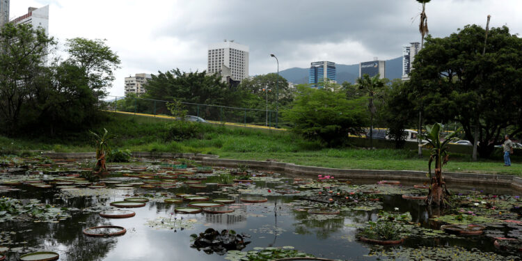 A half-empty lagoon built in the shape of Venezuela is seen at the botanical garden in Caracas, Venezuela July 9, 2018. Picture taken July 9, 2018. REUTERS/Marco Bello